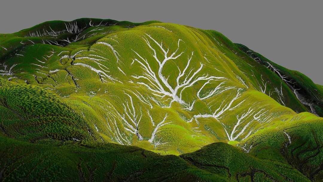 Patterns in Nature, Patterns in Metal: Creating Jewellery Through Chance