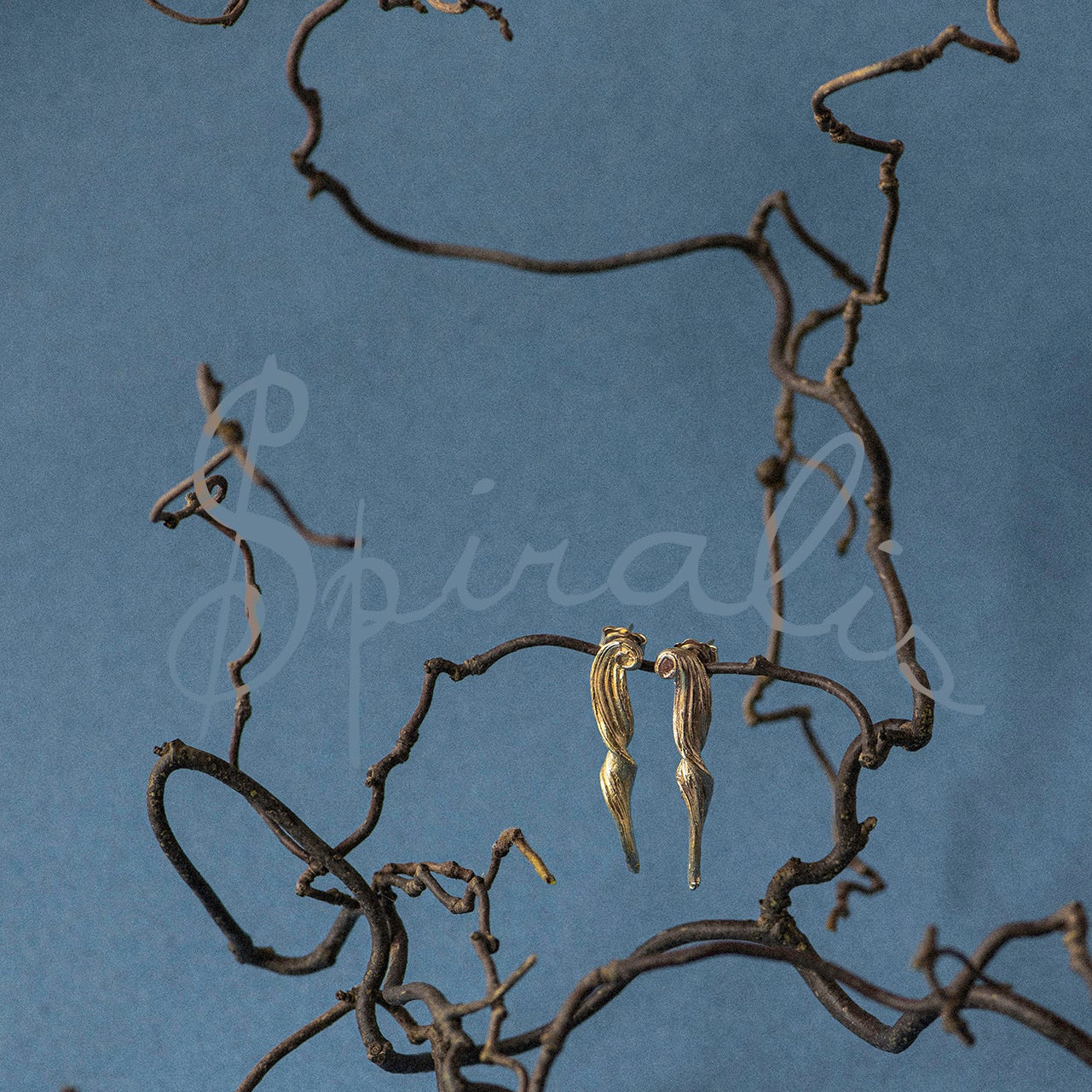 hazel contorta brand with gold spiral earrings sat on them