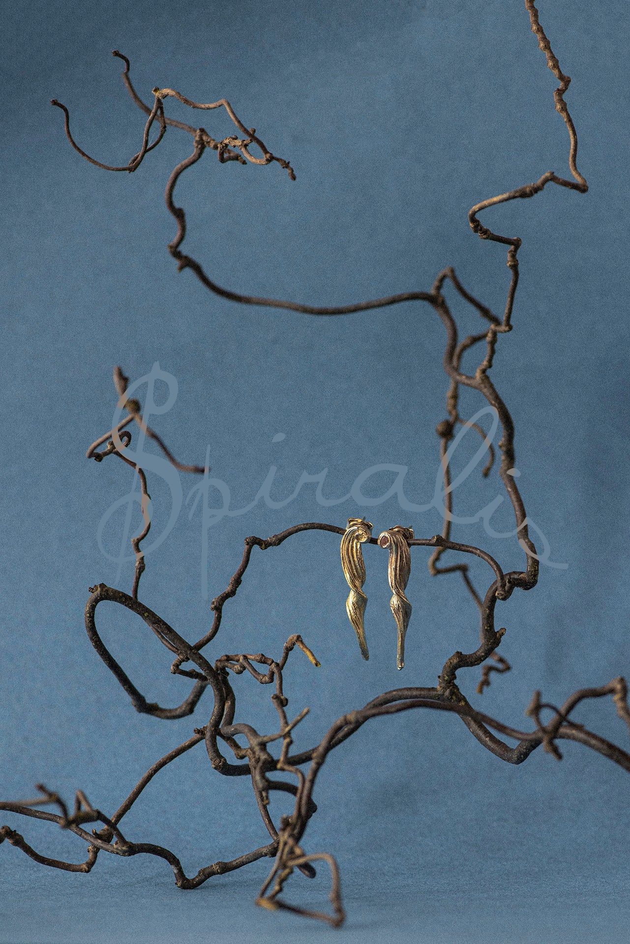 hazel contorta brand with gold spiral earrings sat on them