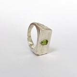 PERCEPTION SIGNET RING - ANYOTHERKINGDOM