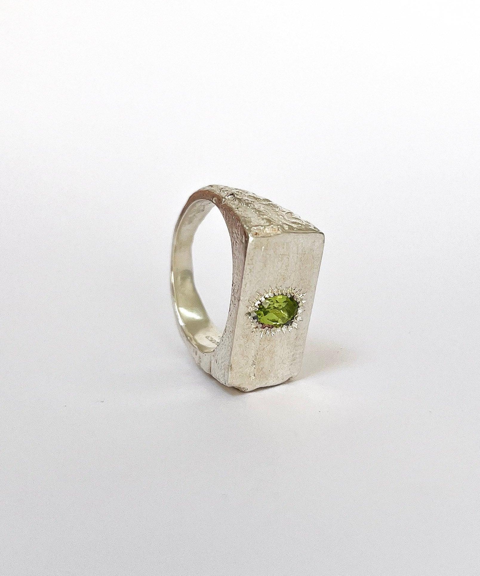 PERCEPTION SIGNET RING - ANYOTHERKINGDOM