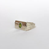 PERCEPTION SIGNET RING - ANYOTHERKINGDOM