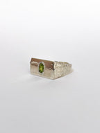 PERCEPTION SIGNET RING - ANYOTHERKINGDOM