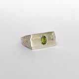 PERCEPTION SIGNET RING - ANYOTHERKINGDOM